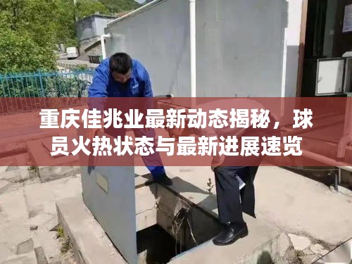 重庆佳兆业最新动态揭秘,球员火热状态与最新进展速览