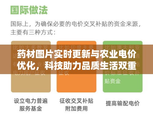 药材图片实时更新与农业电价优化,科技助力品质生活双重保障