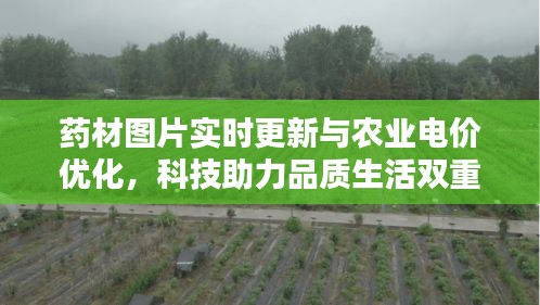 药材图片实时更新与农业电价优化,科技助力品质生活双重保障