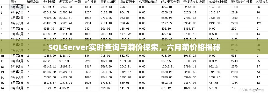 SQLServer实时查询与菊价探索,六月菊价格揭秘
