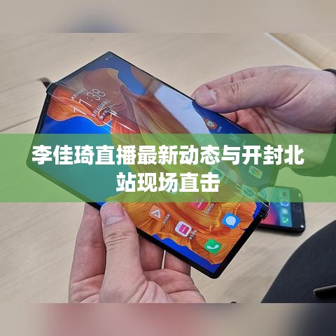 李佳琦直播最新动态与开封北站现场直击