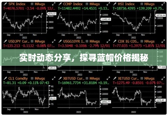 实时动态分享,探寻蓝帽价格揭秘