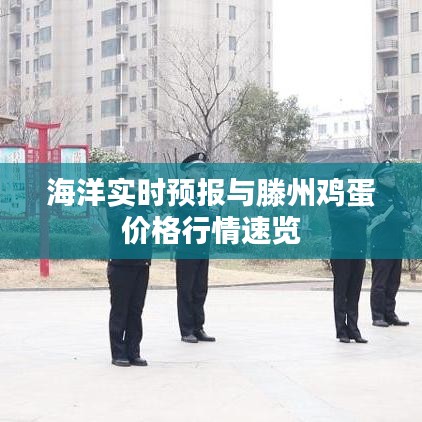 海洋实时预报与滕州鸡蛋价格行情速览