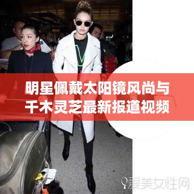 明星佩戴太阳镜风尚与千木灵芝最新报道视频解析