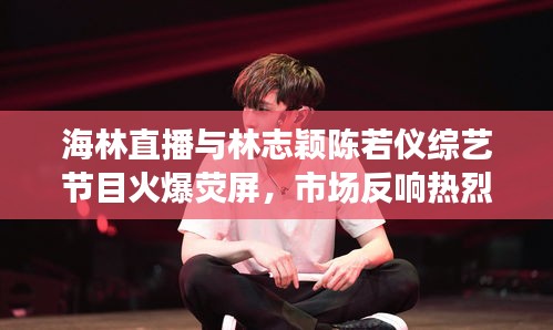 海林直播与林志颖陈若仪综艺节目火爆荧屏,市场反响热烈,未来展望瞩目