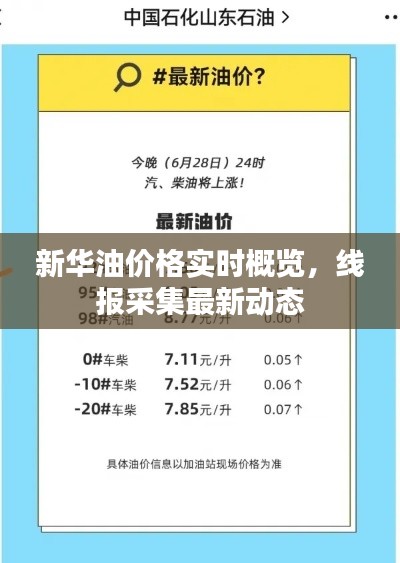 新华油价格实时概览，线报采集最新动态