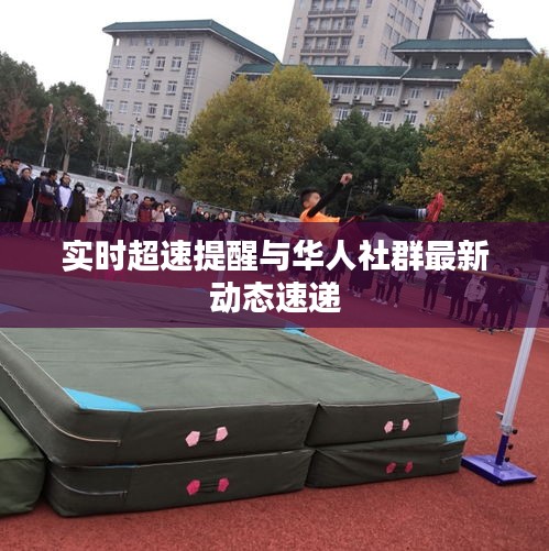 实时超速提醒与华人社群最新动态速递