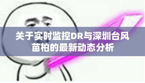 关于实时监控DR与深圳台风苗柏的最新动态分析