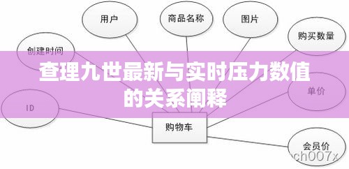 查理九世最新与实时压力数值的关系阐释