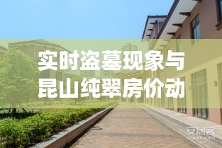 实时盗墓现象与昆山纯翠房价动态分析