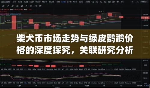 柴犬币市场走势与绿皮鹦鹉价格的深度探究,关联研究分析
