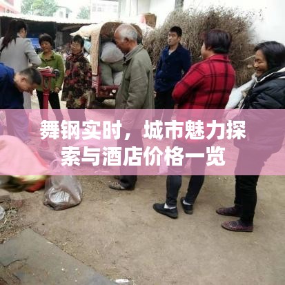 舞钢实时，城市魅力探索与酒店价格一览