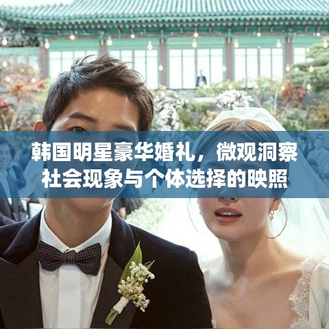 韩国明星豪华婚礼，微观洞察社会现象与个体选择的映照