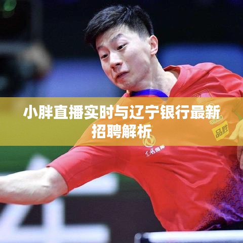 小胖直播实时与辽宁银行最新招聘解析