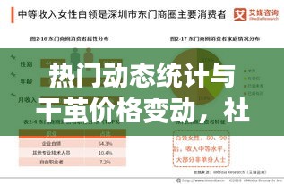 热门动态统计与干茧价格变动,社会观察者的深度洞察与解析