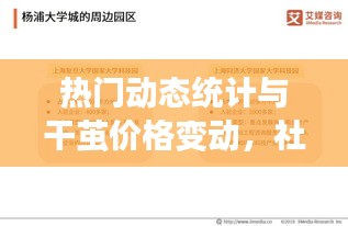 热门动态统计与干茧价格变动,社会观察者的深度洞察与解析
