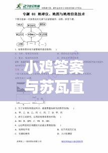 小鸡答案与苏瓦直播现象分析,最新动态与实时解读