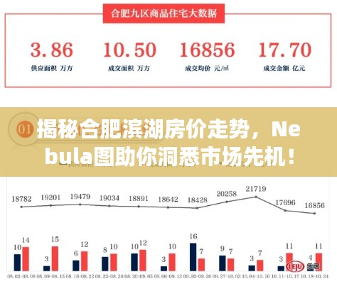 揭秘合肥滨湖房价走势，Nebula图助你洞悉市场先机！