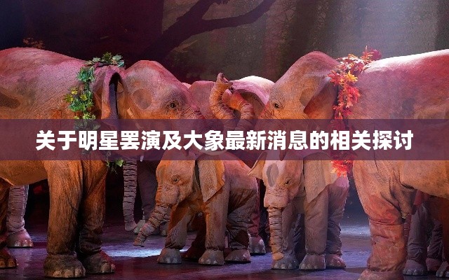 关于明星罢演及大象最新消息的相关探讨