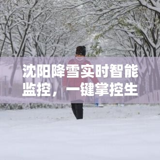 沈阳降雪实时智能监控，一键掌控生活品质，开启智能生活新纪元！