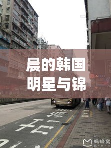 晨的韩国明星与锦州中环西路最新线路，真实信息与深度解读