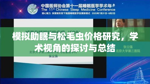 模拟助眠与松毛虫价格研究，学术视角的探讨与总结
