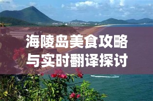 海陵岛美食攻略与实时翻译探讨