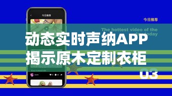 动态实时声纳APP揭示原木定制衣柜价格全解析