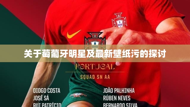 关于萄葡牙明星及最新壁纸污的探讨