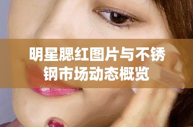 明星腮红图片与不锈钢市场动态概览