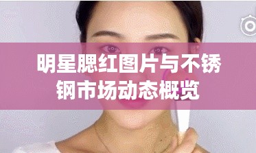 明星腮红图片与不锈钢市场动态概览
