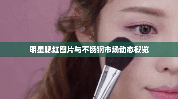 明星腮红图片与不锈钢市场动态概览