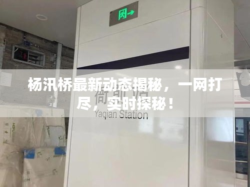 杨汛桥最新动态揭秘，一网打尽，实时探秘！