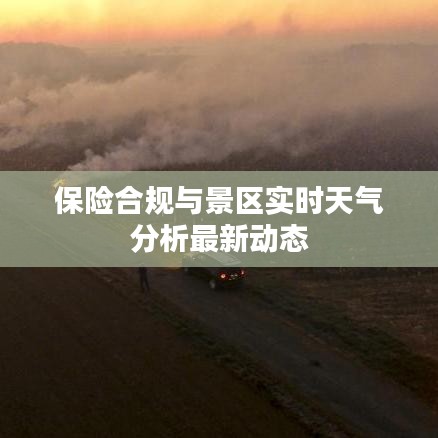 保险合规与景区实时天气分析最新动态