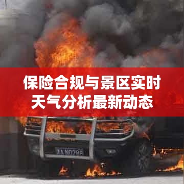 保险合规与景区实时天气分析最新动态