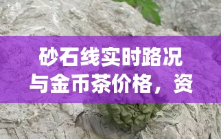 砂石线实时路况与金币茶价格，资讯交织的世界