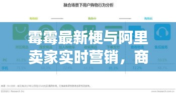 霉霉最新梗与阿里卖家实时营销，商业智慧探索新潮趋势