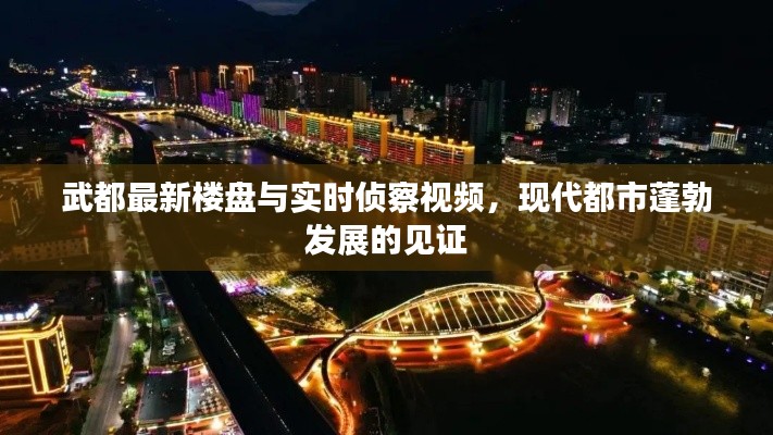 武都最新楼盘与实时侦察视频,现代都市蓬勃发展的见证