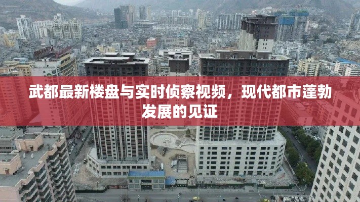 武都最新楼盘与实时侦察视频,现代都市蓬勃发展的见证