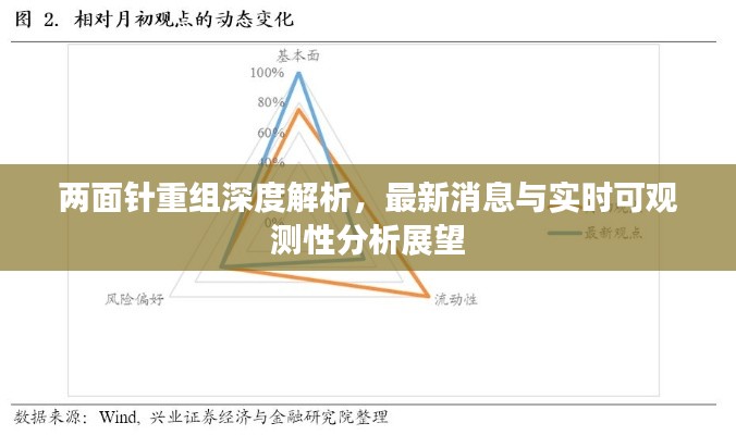 两面针重组深度解析,最新消息与实时可观测性分析展望