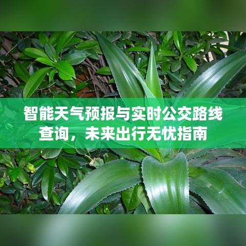 智能天气预报与实时公交路线查询，未来出行无忧指南