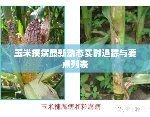 玉米疾病最新动态实时追踪与要点列表