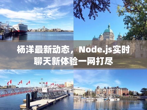 杨洋最新动态，Node.js实时聊天新体验一网打尽