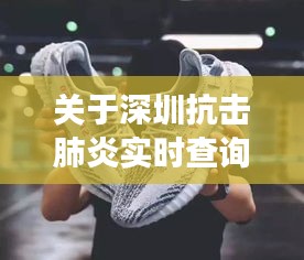 关于深圳抗击肺炎实时查询与OW鞋价格的综合解读