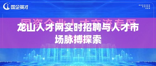 龙山人才网实时招聘与人才市场脉搏探索