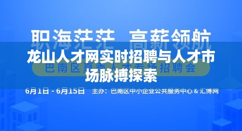 龙山人才网实时招聘与人才市场脉搏探索