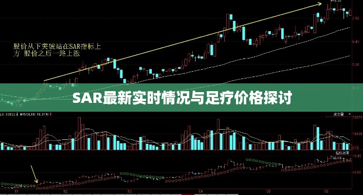 SAR最新实时情况与足疗价格探讨