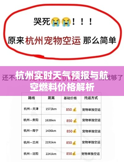 杭州实时天气预报与航空燃料价格解析