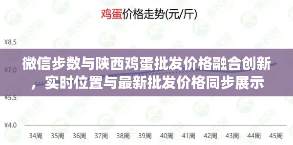 微信步数与陕西鸡蛋批发价格融合创新,实时位置与最新批发价格同步展示