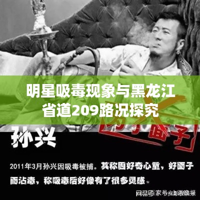 明星吸毒现象与黑龙江省道209路况探究